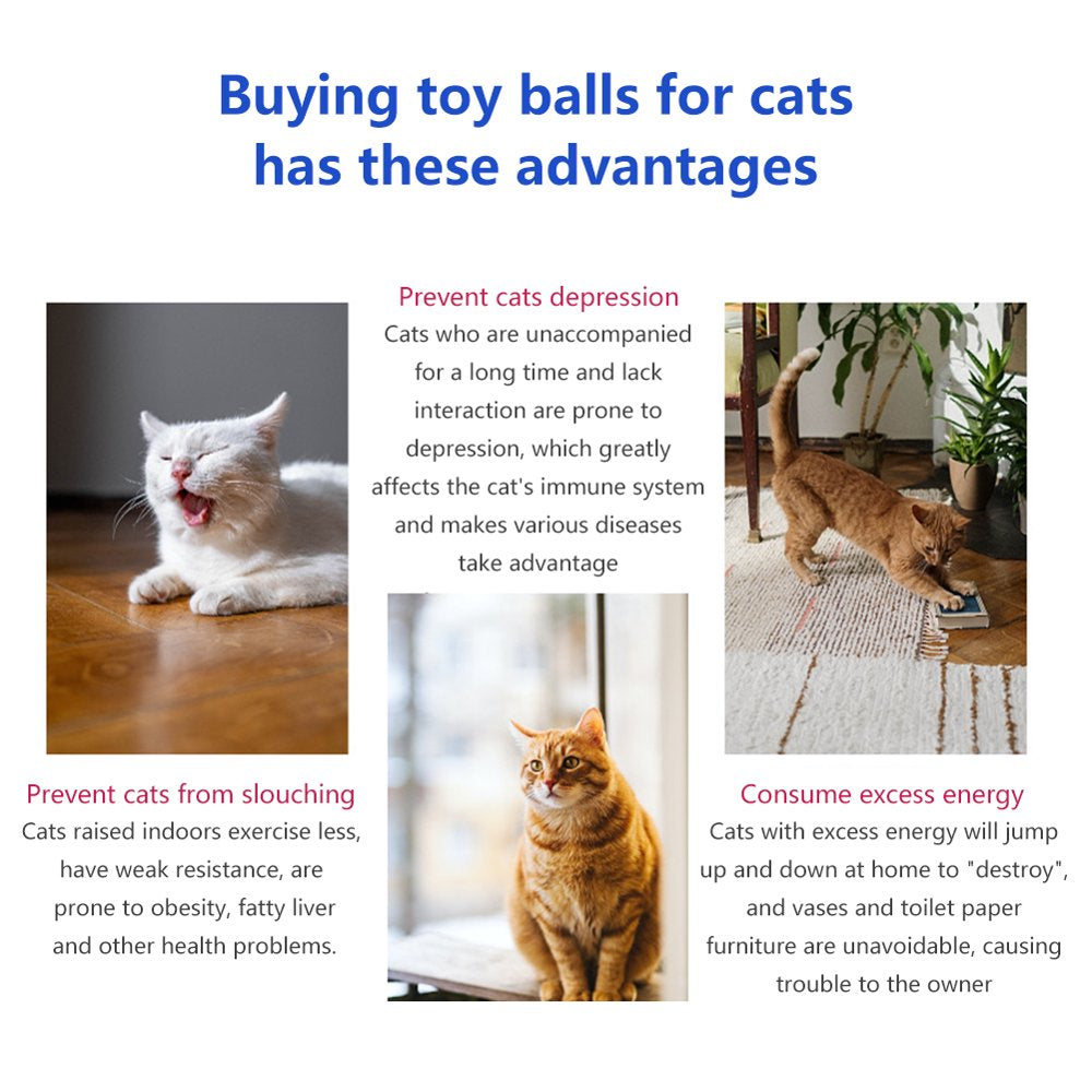 Interactive Cat Ball Toys, USB Rechargeable Bouncing Balls Motion Cat Toys Pet Supplies for Indoor Cats